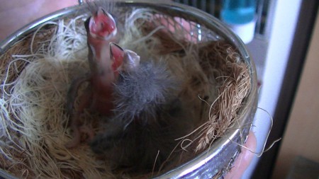 4 dagen zie je ons al mooi zitten wachtend op eten 